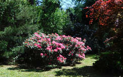 Szombathely, Kámoni arborétum