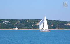 Balaton, vitorlás