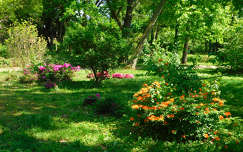 Szombathely, Kámoni arborétum
