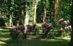 Szombathely, Kámoni arborétum