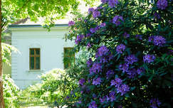 Szombathely, Kámoni arborétum