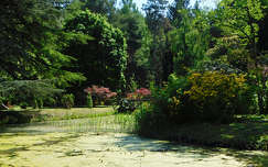 Szombathely, Kámoni arborétum