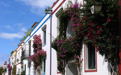 Virágos házak, Gran Canarián