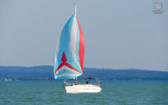 Balaton, vitorlás