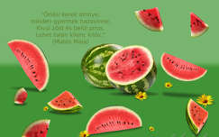 grafika
