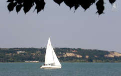balaton, magyarország, nyár, tó, vitorlás