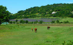 Tihany