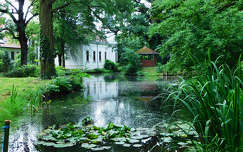 Szombathelyi botanikus kert, Kámoni arborétum