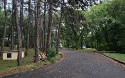 Balatonfűzfő