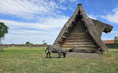 Dinnyés, Várpark, Skanzen