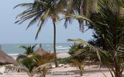 Plage de Cap Skirring - Sénégal