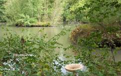 Sologne