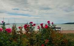 Balatonalmádi, Szent Erzsébet liget
