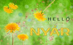 grafika, nyár