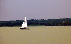 Vitorlás, Balaton
