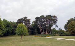 Keszthely Festetics-kastély, park
