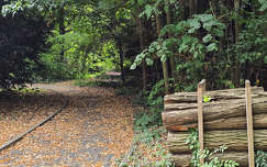 Szombathely, Kámoni arborétum