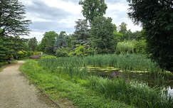 Szombathely, Kámoni arborétum