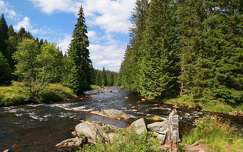 Sumava NP, Csehország