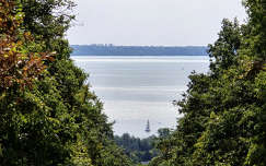 Balaton a fűzfői erdőből