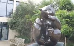 Ours brun - Zoo de Beauval