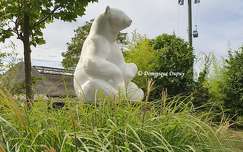 Ours blanc - Zoo de Beauval