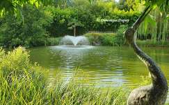 Les Jardins de Beauval
