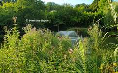 Jardins de Beauval