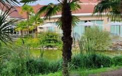 Hôtel Les Jardins de Beauval
