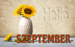 szeptember, grafika