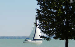 balaton, vitorlás