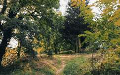 Ősz, Zala-megye