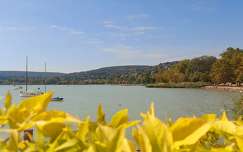 Balatonalmádi.