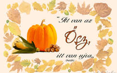 ősz, grafika