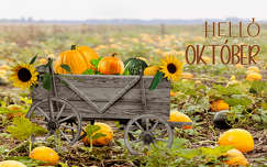 október, grafika