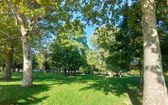 Balatonalmádi Öreg -Park
