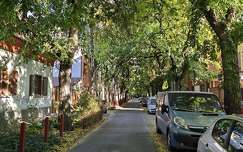 Utcakép, Szeged.
