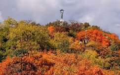 ősz budapest magyarország címlapfotó szobor