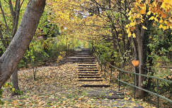 Hulló falevelek - Balatonfűzfő