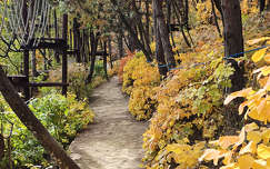 Balatonfűzfő, őszi út