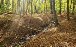 Zselic, Alma-forrás