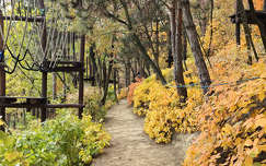 Balatonfűzfő, ősz, út