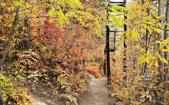 Balatonfűzfő, ősz, út