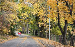 Balatonfűzfő, ősz, út