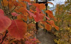 Balatonfűzfő, ősz, út