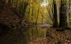 Punkva folyó, Morva karsztvidék, Csehország