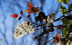 ŐSZI SZÍNKAVALKÁD