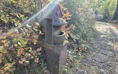 A Balatonalmádi - káptalanfüredi Angyalos Boldogasszony kápolna parkjában található.