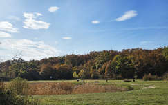 Balatonalmádi, Köcsi-tó, novemberi napsütésben