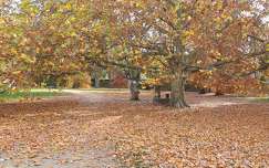 Sárvár, Várkerület